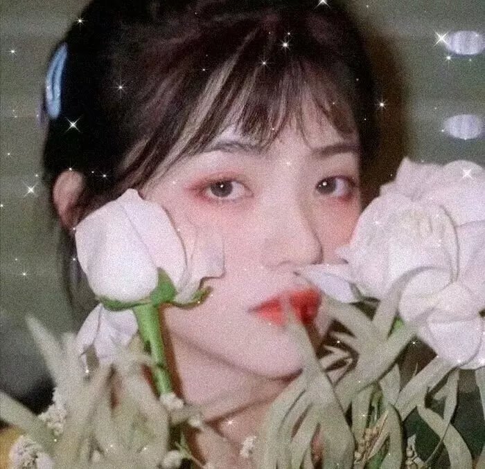 大卫林区：绿野谜踪